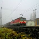 "Es gibt sie noch - die Letzte?", Dorfgastein, 13.11.2010