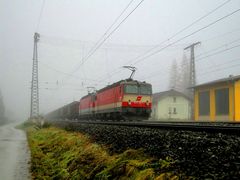 "Es gibt sie noch - die Letzte?", Dorfgastein, 13.11.2010