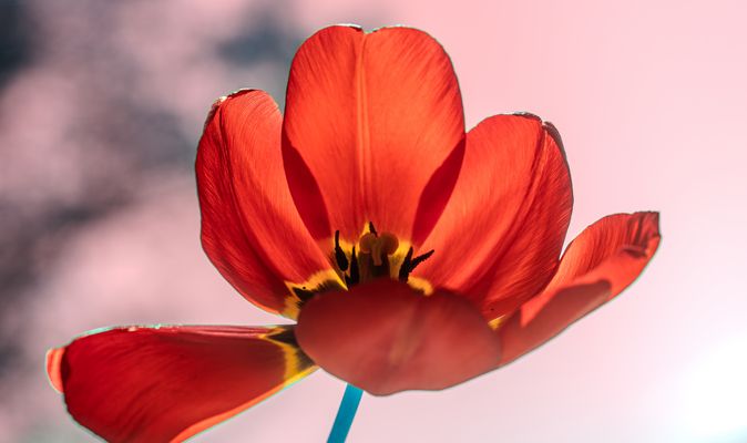 Es gibt so Momente, ... 