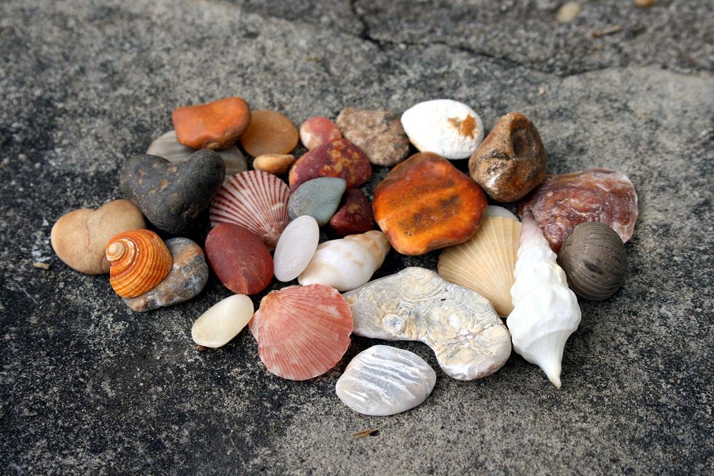 es gibt so schöne Dinge am Strand zu finden ...