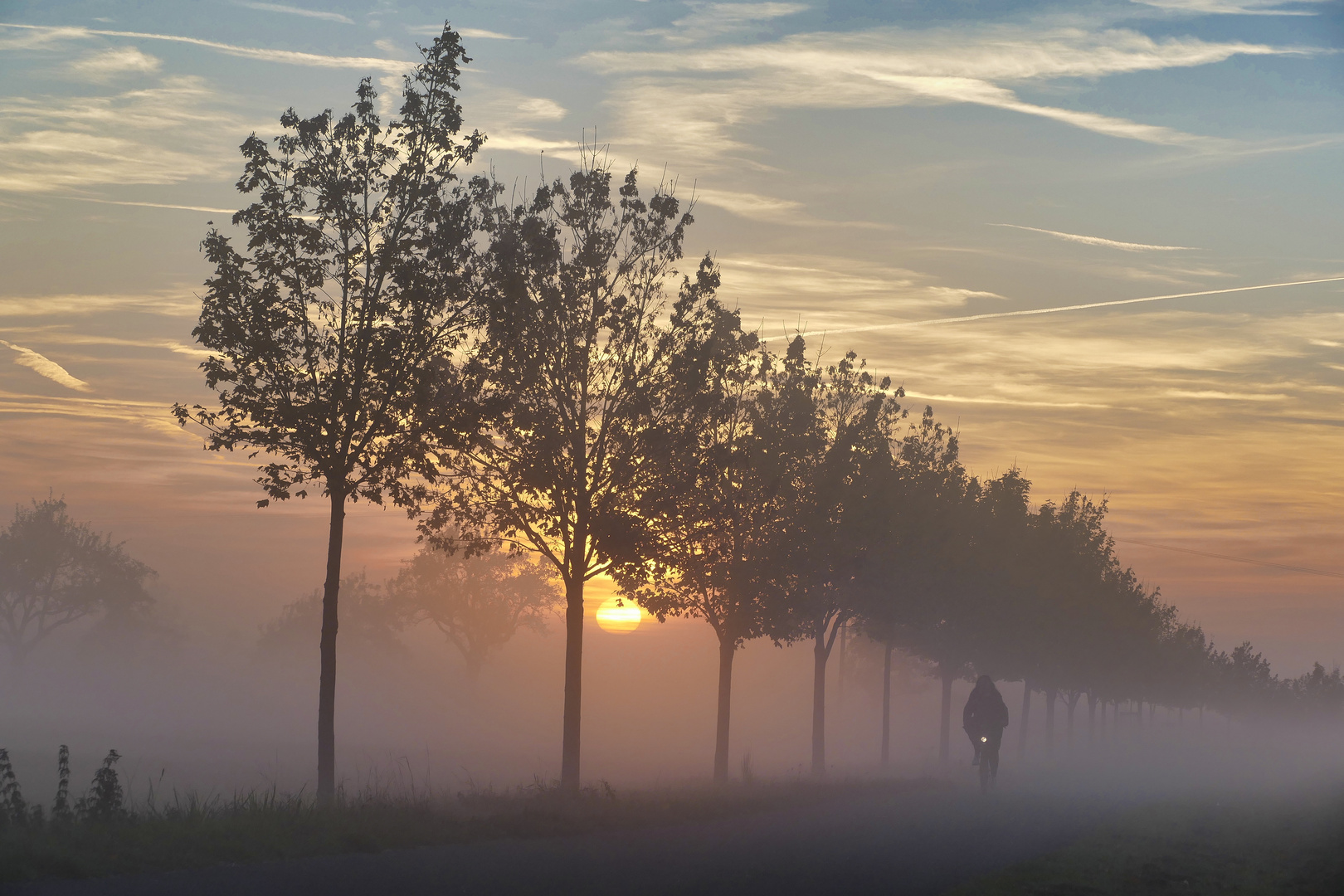 Es gibt solche und solche Herbsttage: Nebel und Sonne