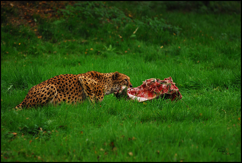 Es gibt Steak...