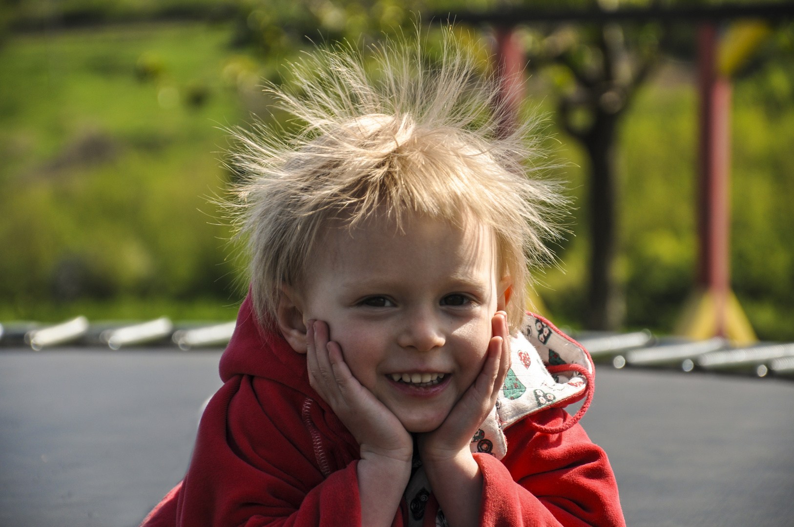 Es gibt Tage da stehen einem die Haare zu Berge