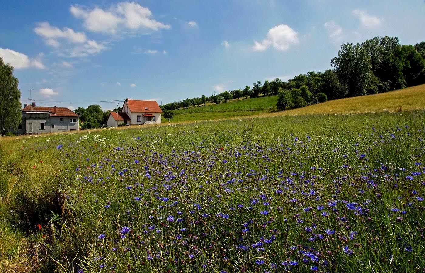 Es gibt tatsächlich noch blauen Himmel ....