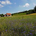 Es gibt tatsächlich noch blauen Himmel ....