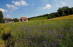 Es gibt tatsächlich noch blauen Himmel ....