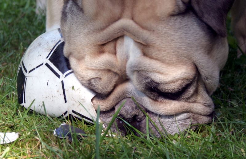 ... es gibt wichtigeres als Fußball