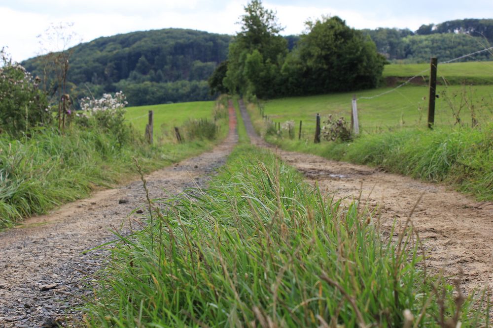 Es gibt zwei Wege... Foto &
