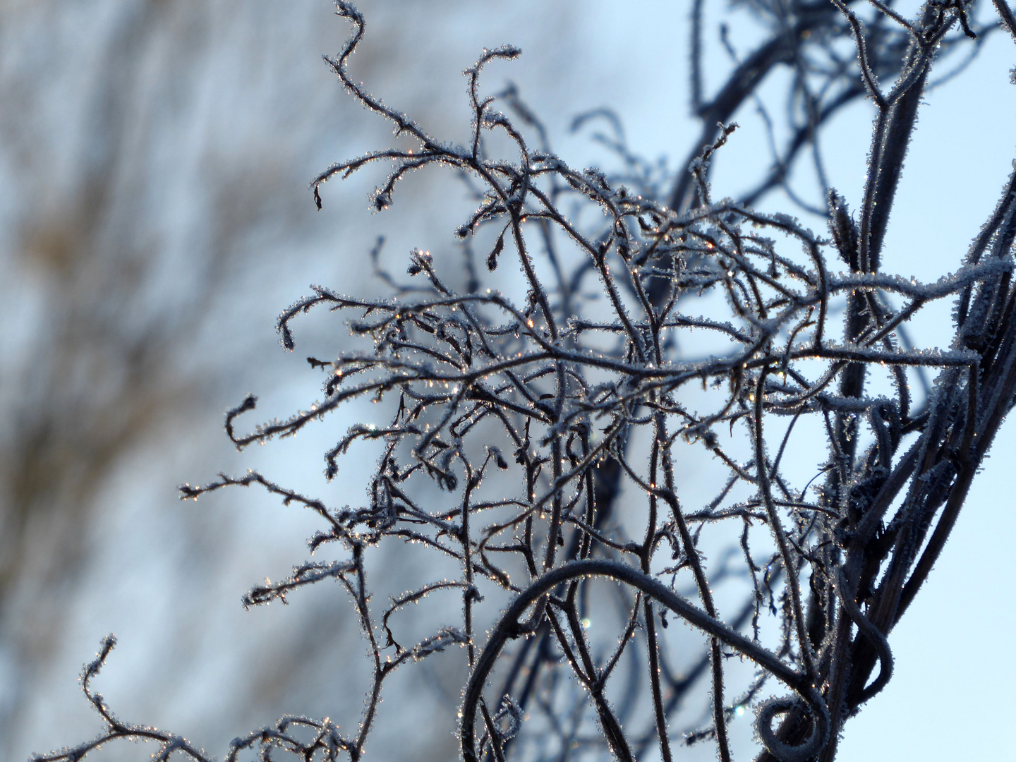 es glitzert bei 8 Grad minus