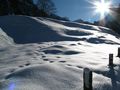 Es glitzert der Schnee.... by emmentaler 