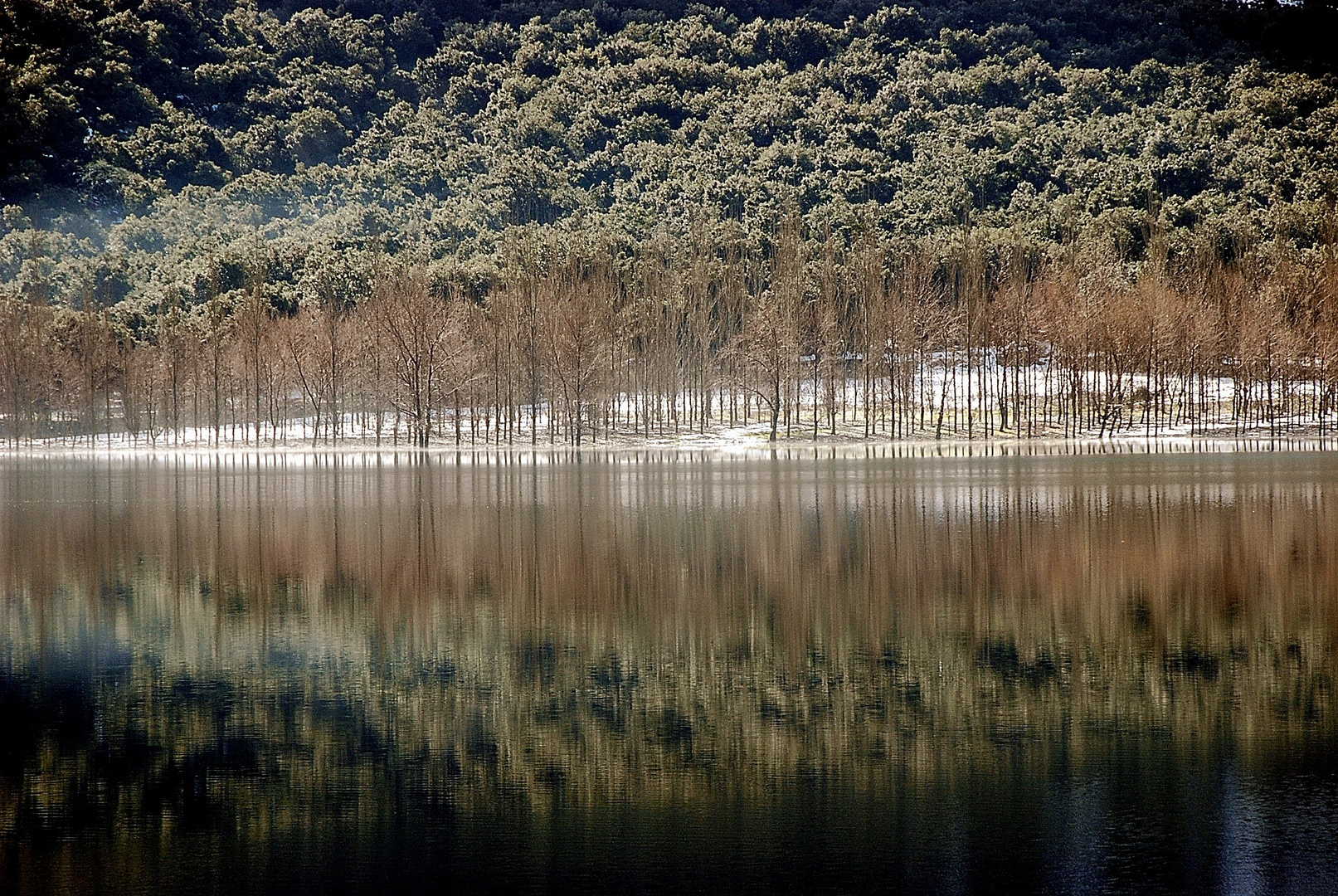 Es Gorg Blau - Invierno en Mallorca