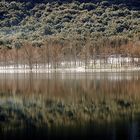 Es Gorg Blau - Invierno en Mallorca