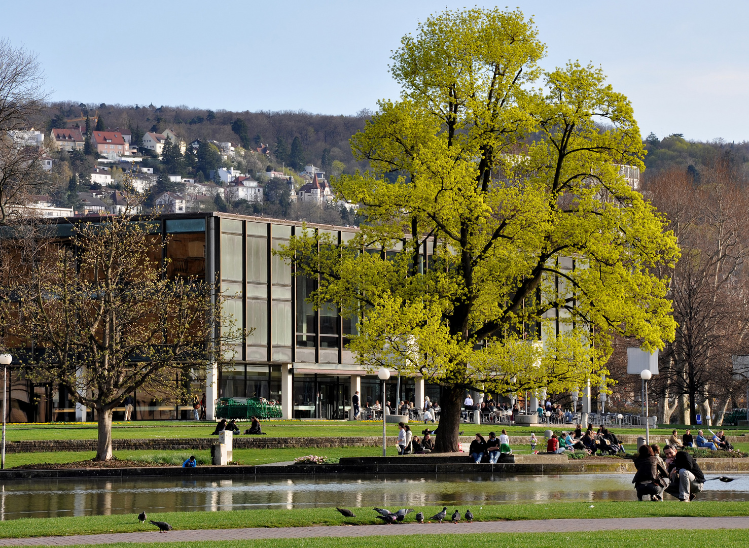 Es grünt am Stuttgarter Landtag :-)))