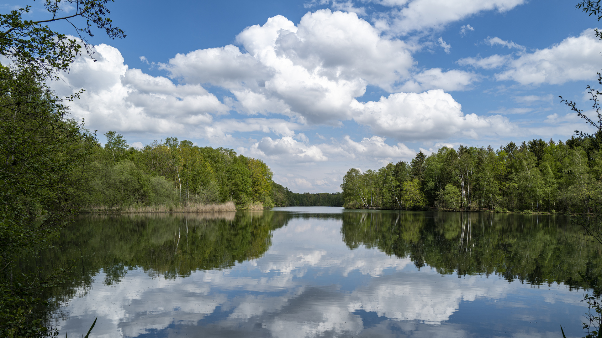 Es grünt am Venekotensee