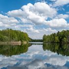 Es grünt am Venekotensee