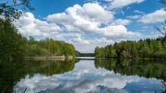 Es grünt am Venekotensee