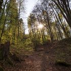 Es grünt im blauen Steinbruch