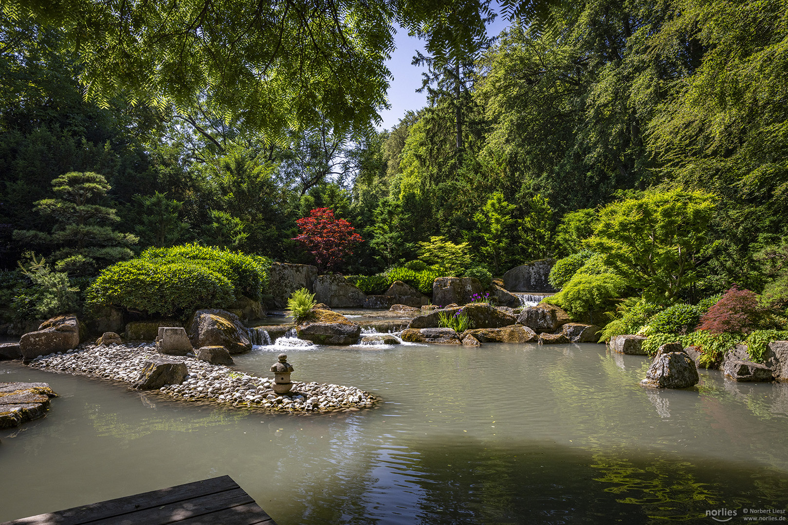 Es grünt im Japangarten