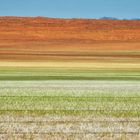 Es Grünt so Grün, Namib in der Regenzeit