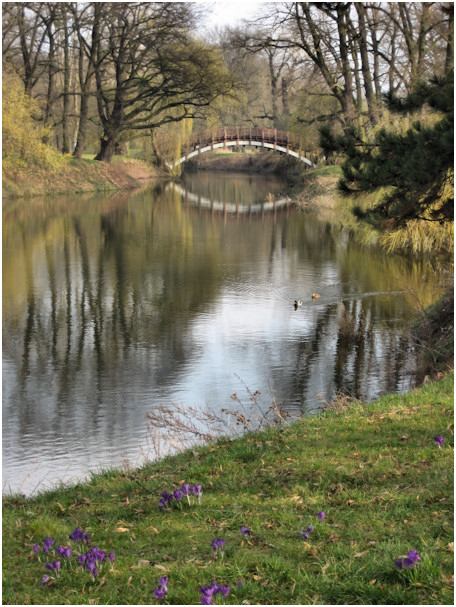 Es grünt so grün und blüht Foto & Bild | landschaft ...