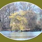 "es grünt so grün wenn ........;" Frühlingserwachen am See.