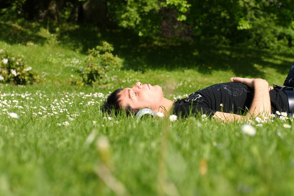 es grünt soo grün wenn wernigerode´s Blüten blühen :-)