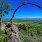 es grünt und blüht am Donnersberg