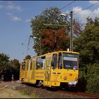 Es grüßt der Herbst