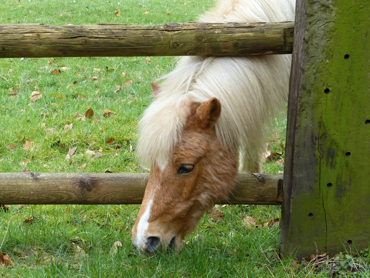 es hat den Durchblick