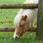 es hat den Durchblick