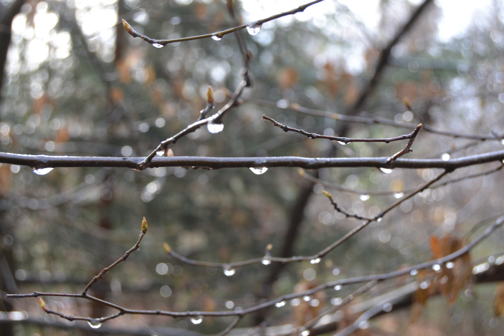Es hat Foto & Bild regenfotos, wetter, outdoor Bilder auf