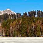 Es hat geschneit am Schwarzsee