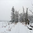 Es hat geschneit - kalt wars - schön wars