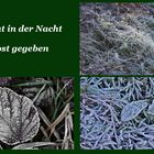 Es hat in der Nacht Frost gegeben