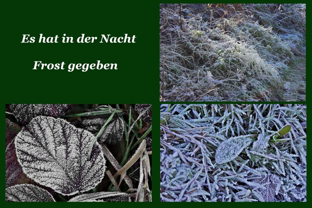 Es hat in der Nacht Frost gegeben