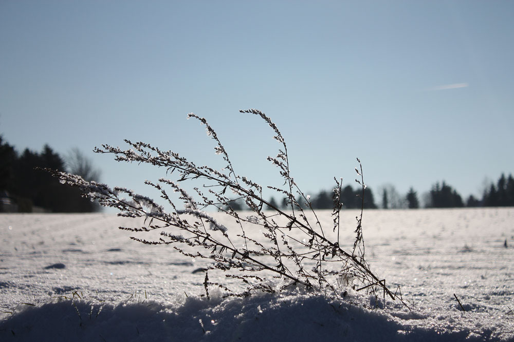 es hat mal wieder geschneit