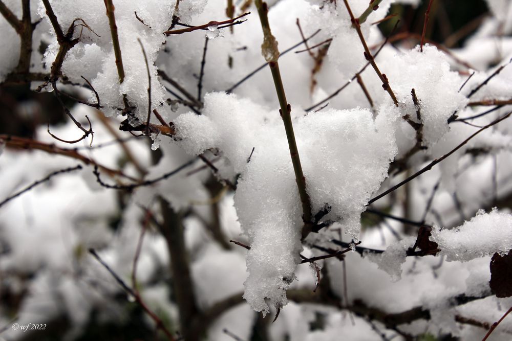 Es hat über Nacht geschneit