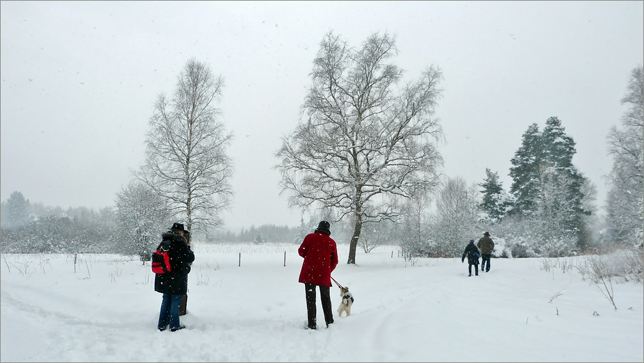 Es hat wieder geschneit