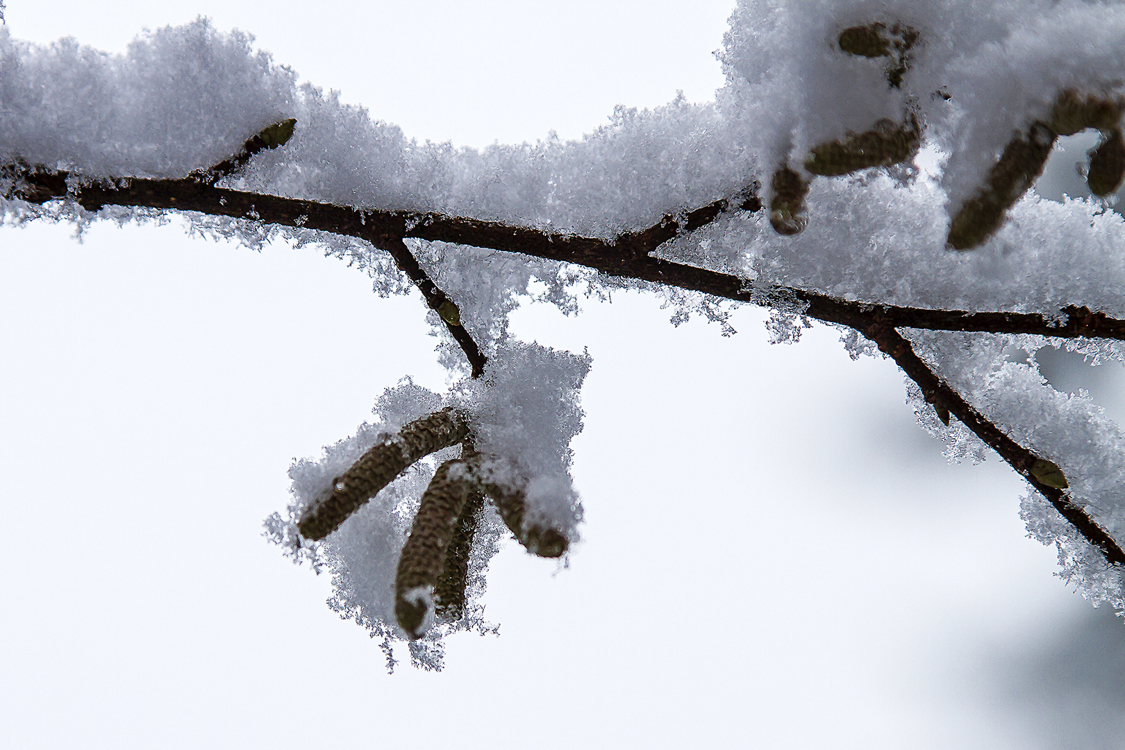 es hat wieder geschneit