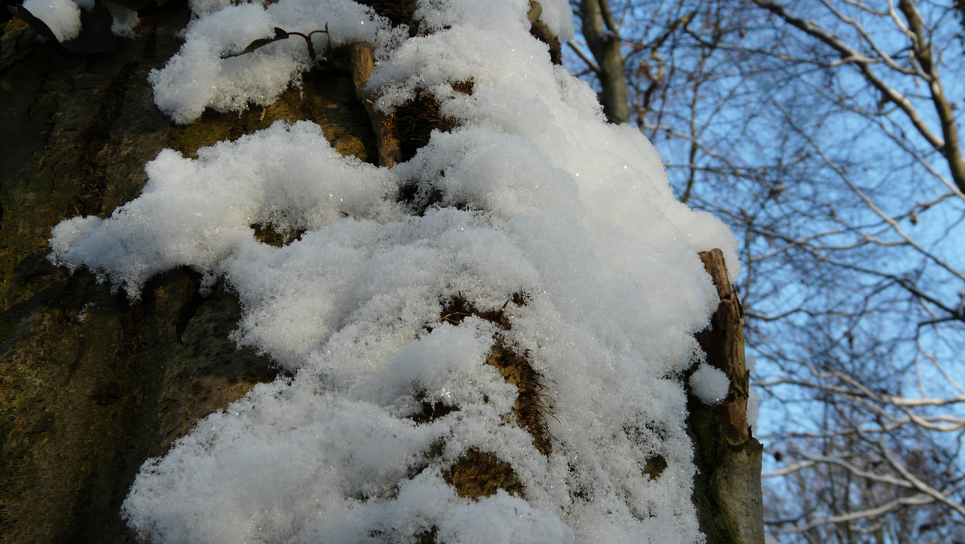 Es hat wieder geschneit!