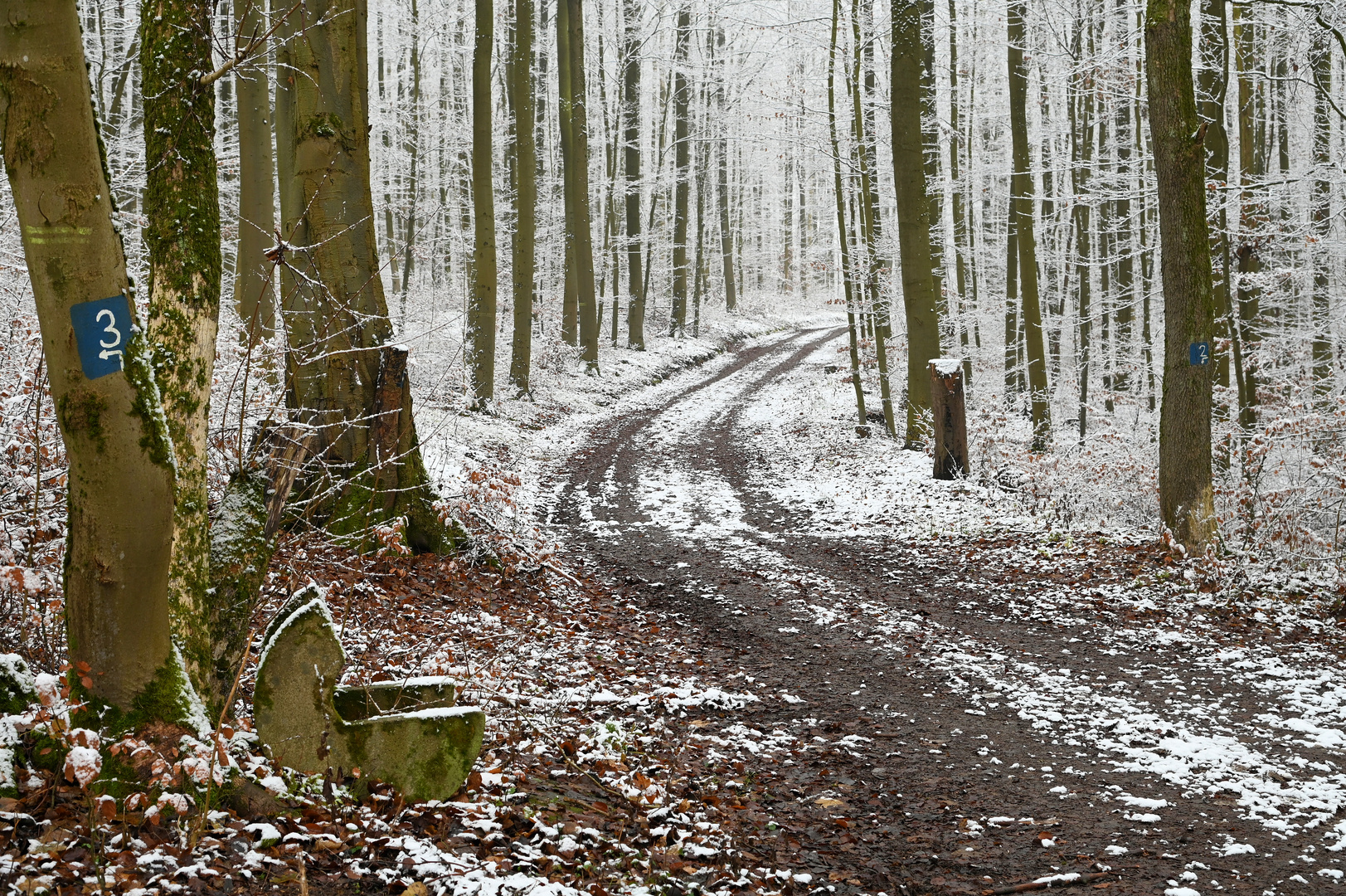 es hat wieder geschneit...