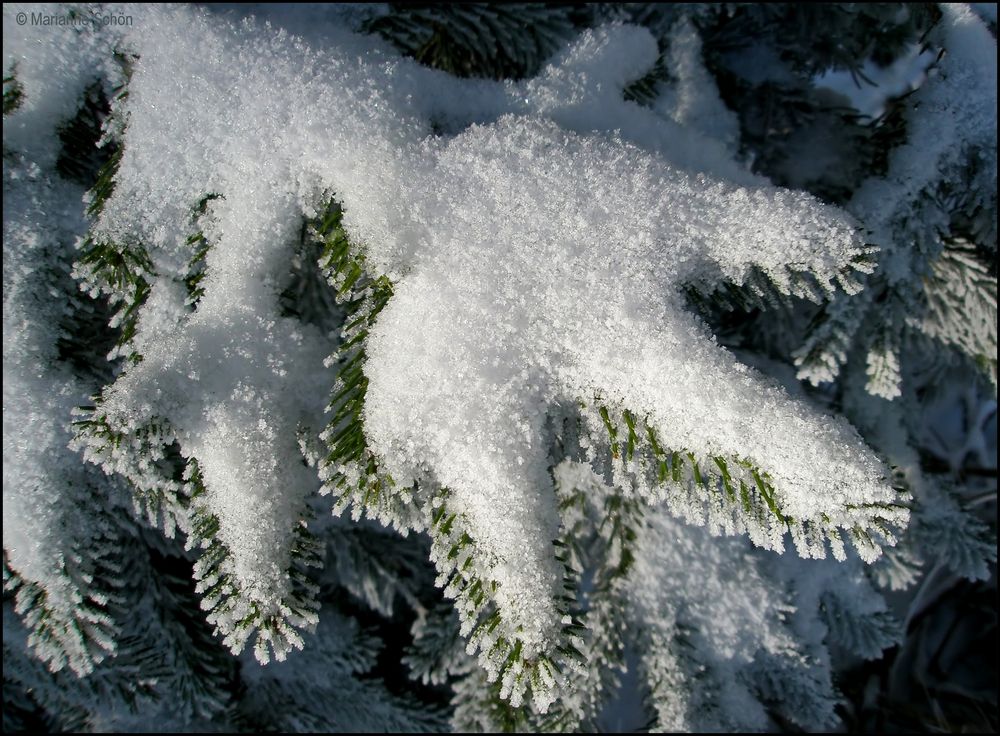 Es hat wieder geschneit heute Nacht...