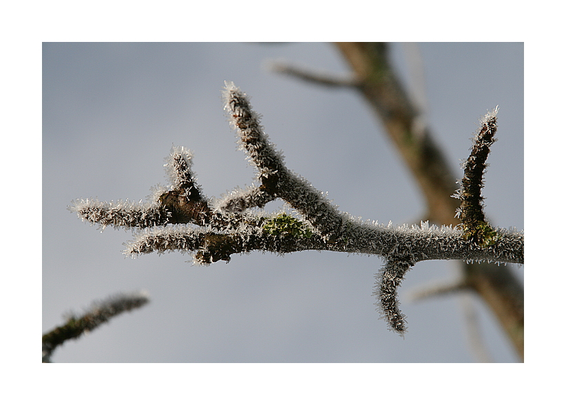 Es hatte -8°C