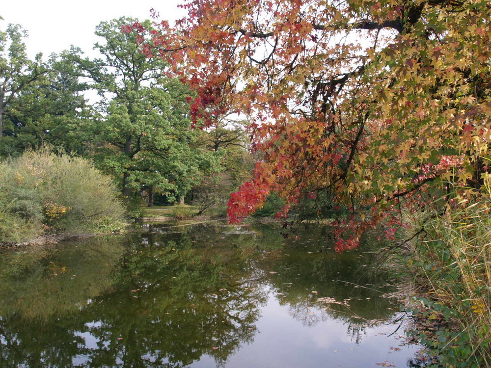 es hebstelt im botanischen Garten 2.