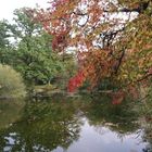 es hebstelt im botanischen Garten 2.