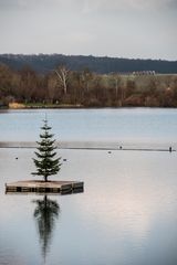 es heisst das es bald Weihnachten ist