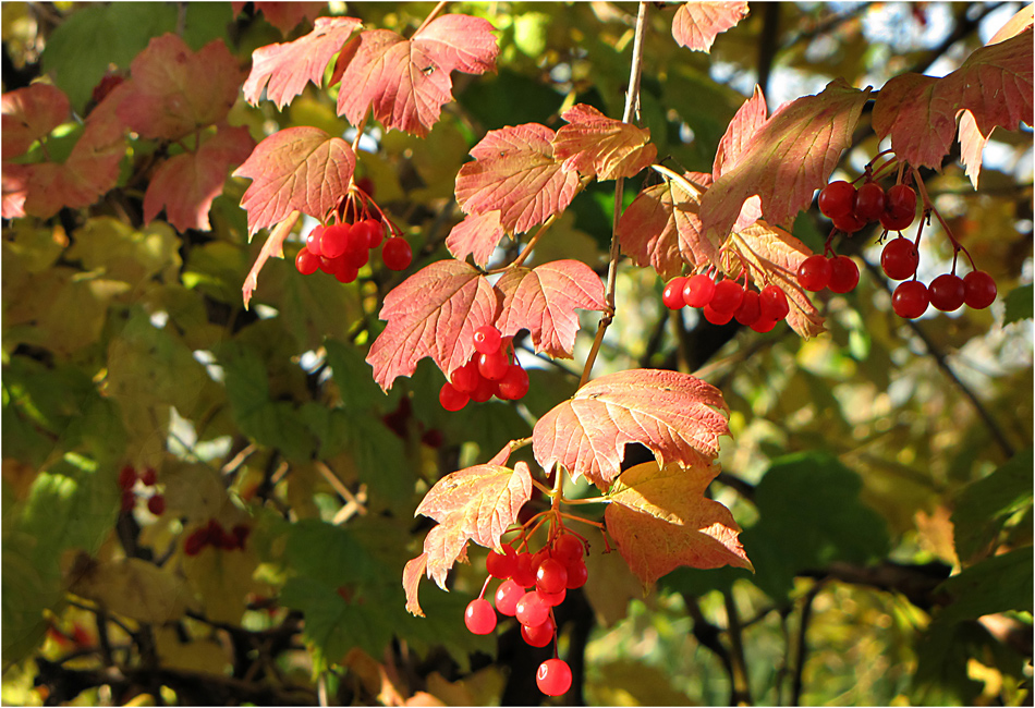 Es herbschtelet