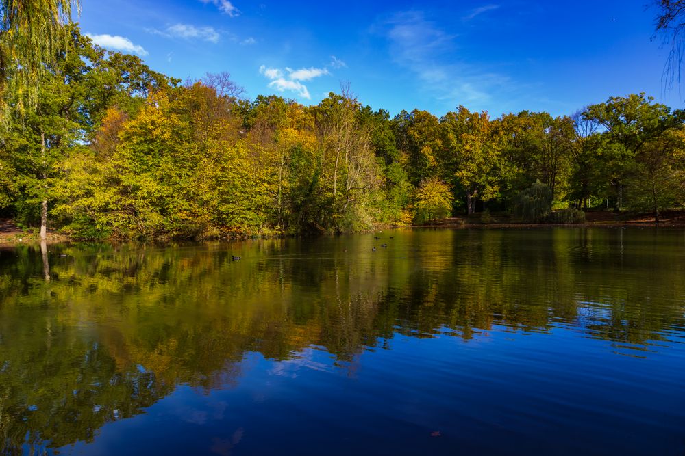 Es herbstelt am Schachtsee