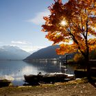 Es herbstelt am Zeller See