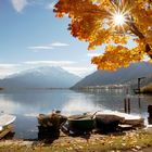 Es herbstelt am Zeller See